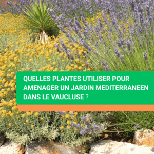 Quelles plantes utiliser pour amenager un jardin mediterraneen dans le vaucluse ?