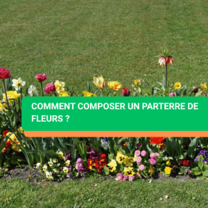 Comment composer un parterre de fleurs ?