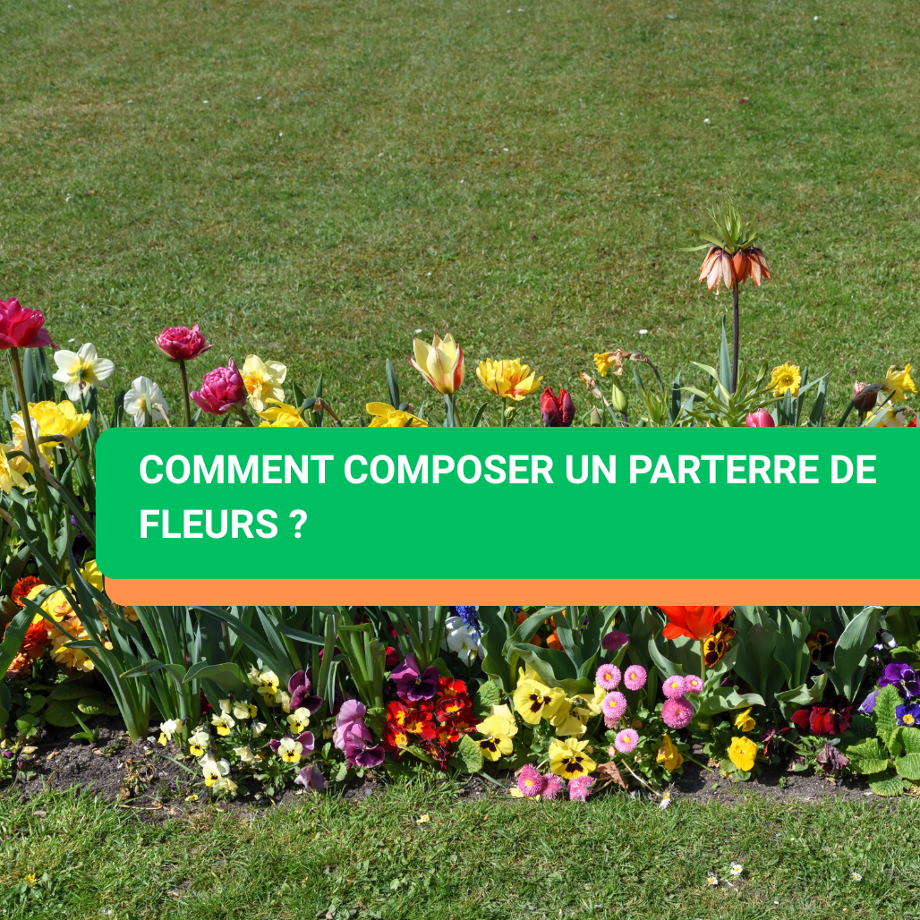 Comment composer un parterre de fleurs ?