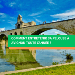 Comment entretenir sa pelouse à Avignon toute l'année ?