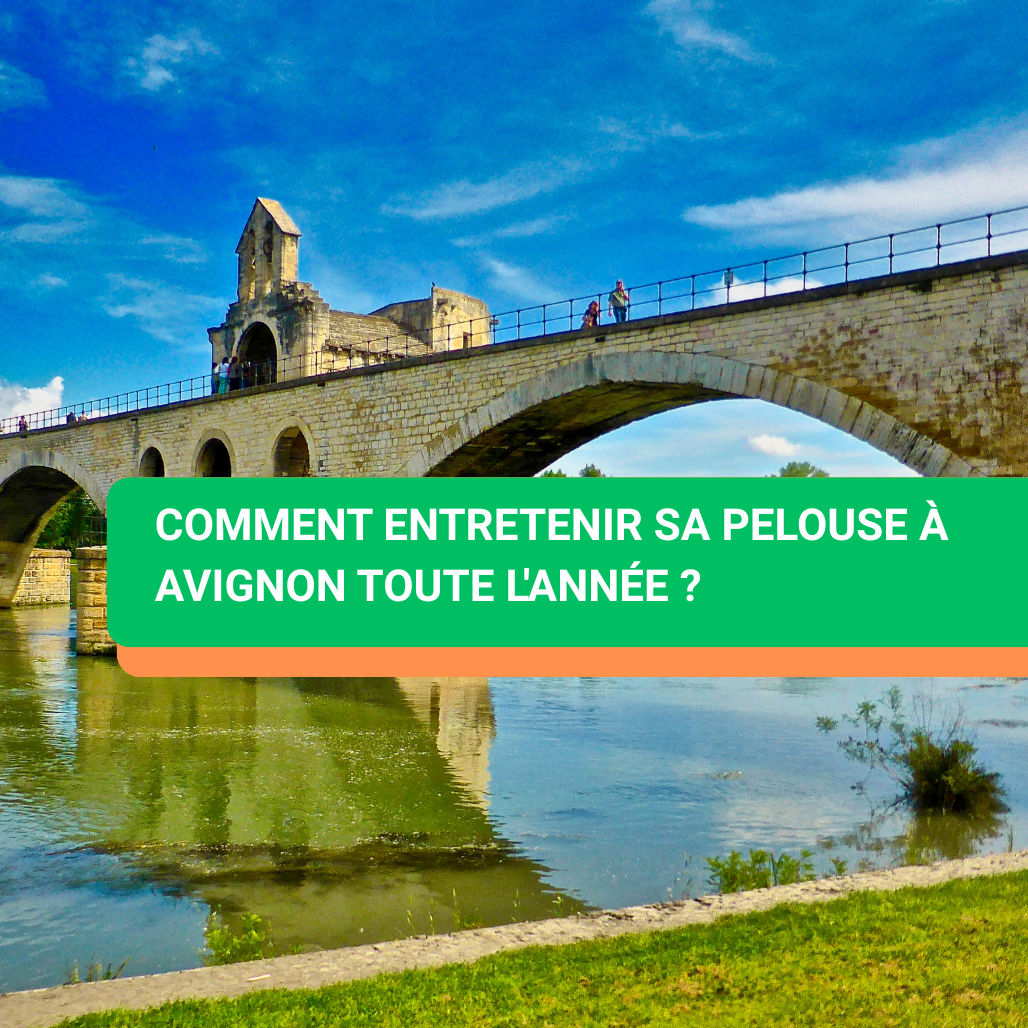 Comment entretenir sa pelouse à Avignon toute l'année ?