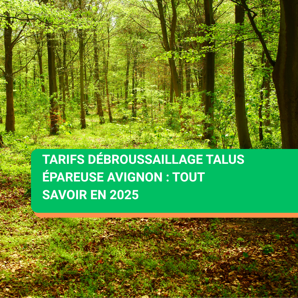 Tarifs débroussaillage talus épareuse Avignon : tout savoir en 2025