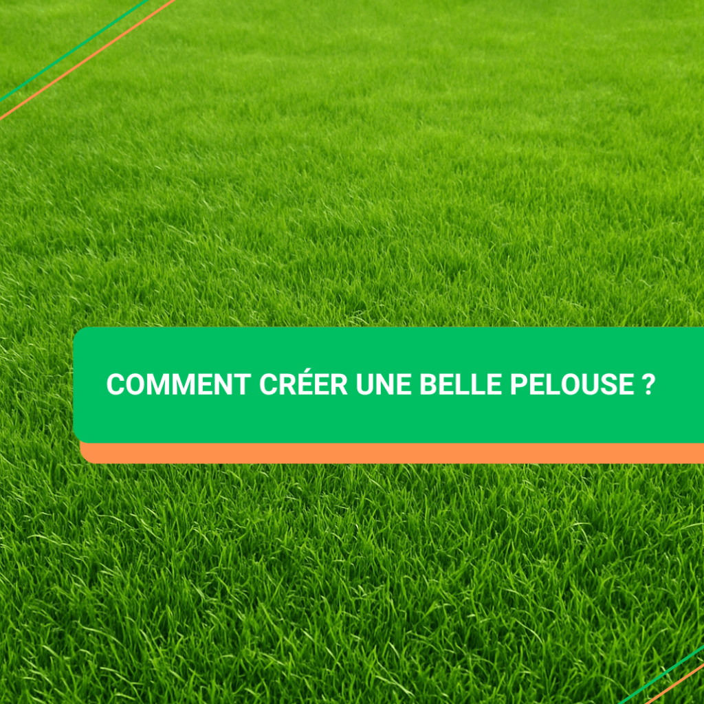 Comment créer une pelouse