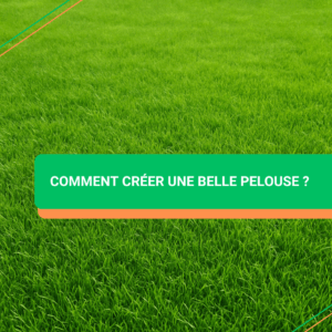 Comment créer une pelouse
