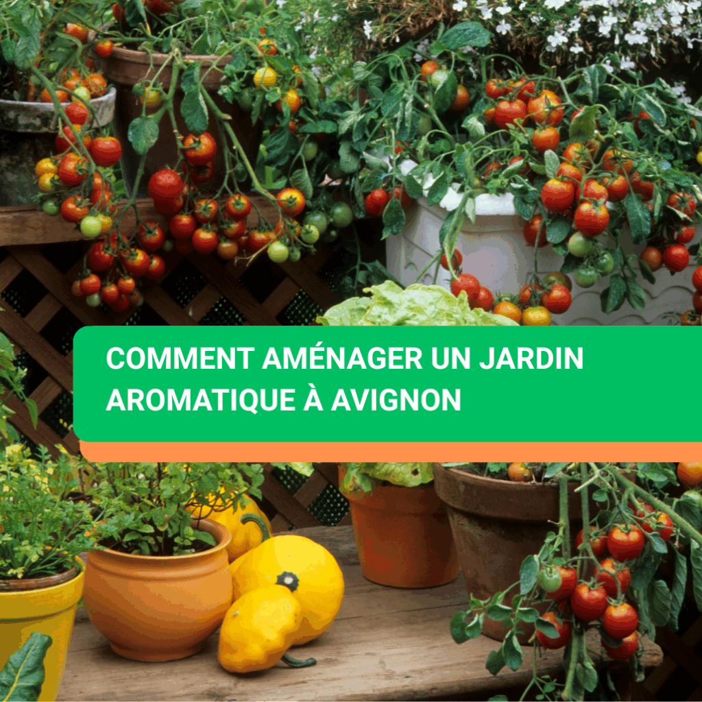 Comment aménager un jardin aromatique à Avignon