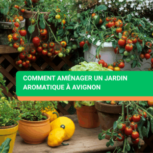 Comment aménager un jardin aromatique à Avignon