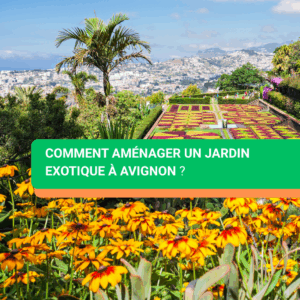 Comment aménager un jardin exotique à Avignon ?