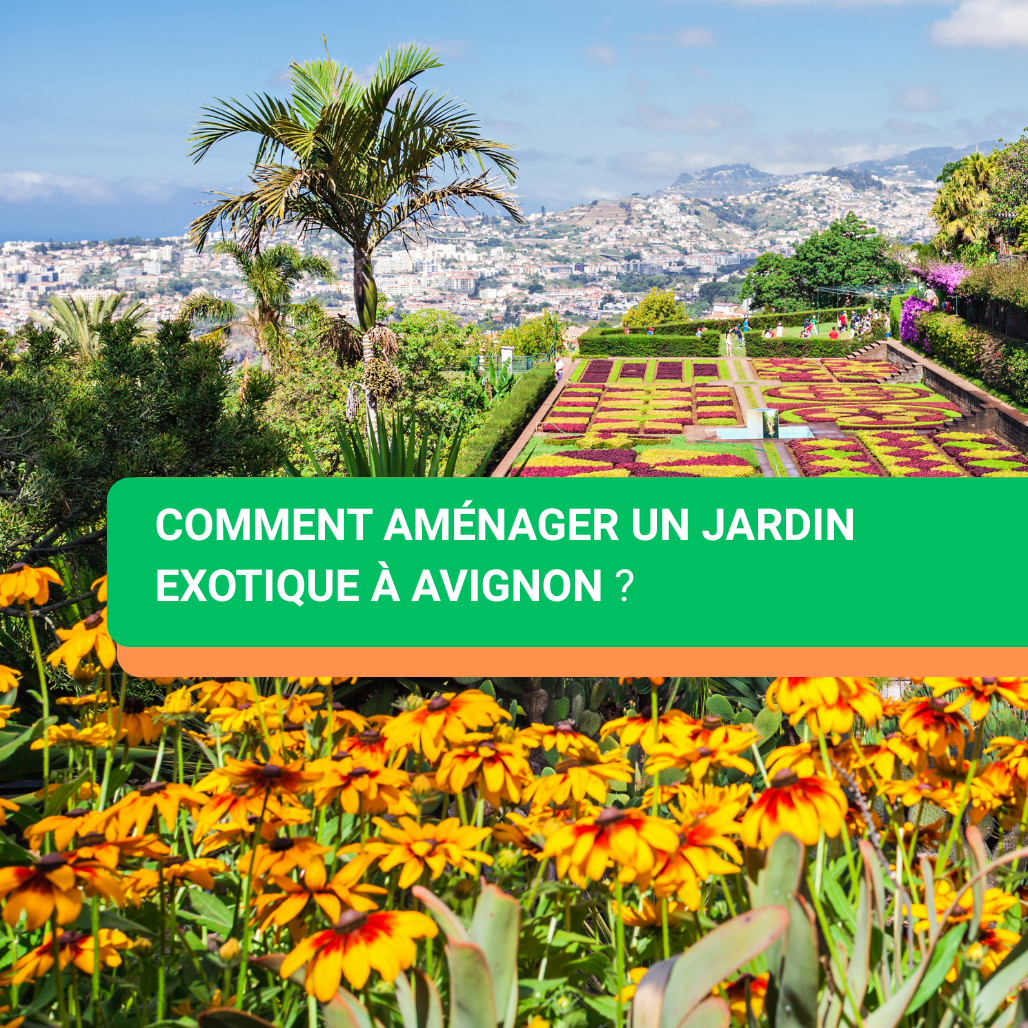 Comment aménager un jardin exotique à Avignon ?